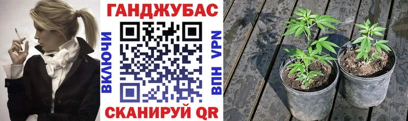 Названия наркотиков Нюрба ГАШ Амфетамин Меф Галлюциногенные грибы Альфа ПВП МДМА МАРИХУАНА