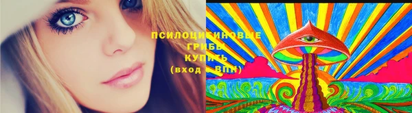 крисы Абдулино