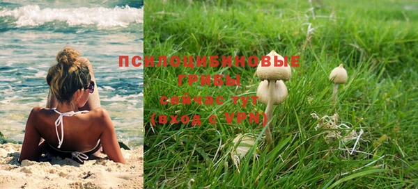молекула духа Алексин