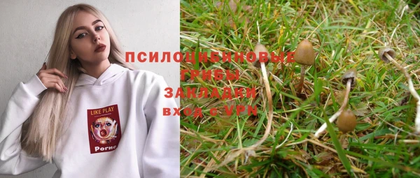 mdpv Алзамай