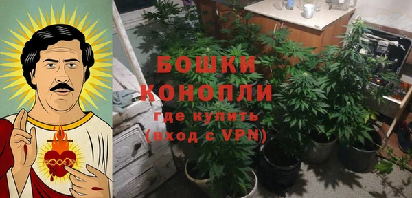 крисы Абдулино