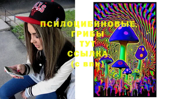 крисы Абдулино