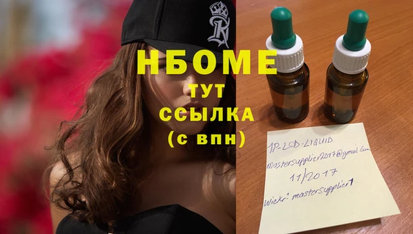 крисы Абдулино